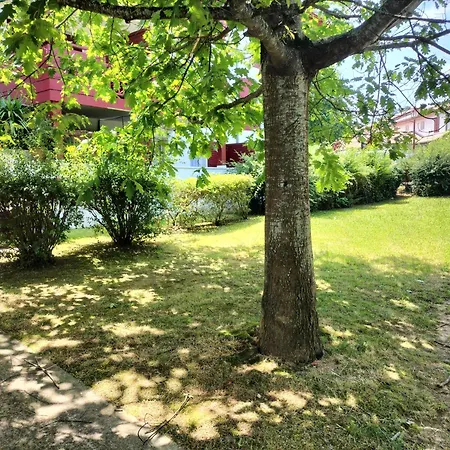 Appartement T2 Centre-ville Proche Bidart Et Guétary